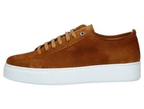 Sneakers Exton –